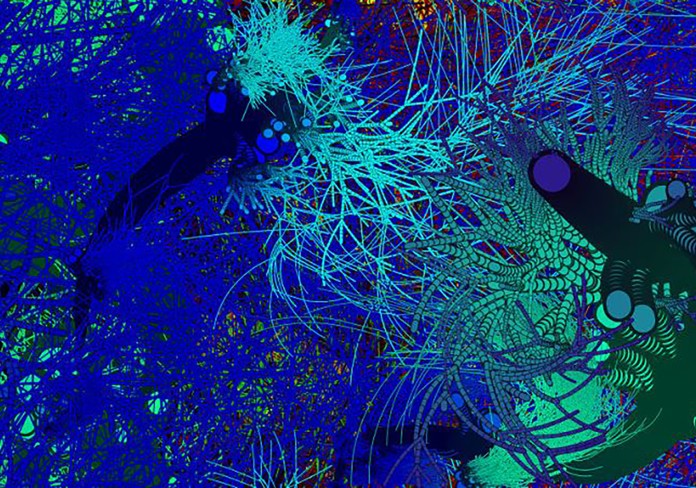 DIGITAL WALL EXHIBITION: COENOSARCOID