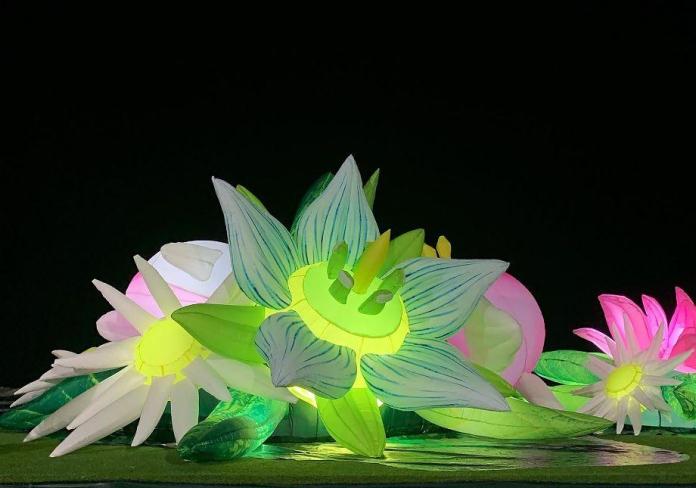 Winter Arts Festival 2025