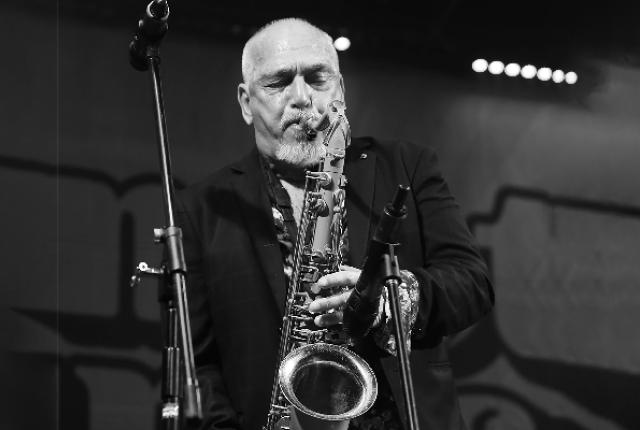 The Black Sorrows Joe Camilleri